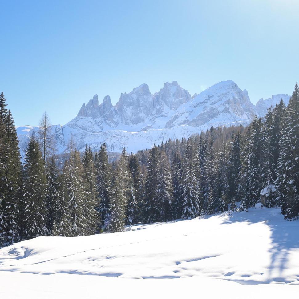 ホテル Rifugio Flora Alpina パッソ・サン・ペッレグリーノ エクステリア 写真