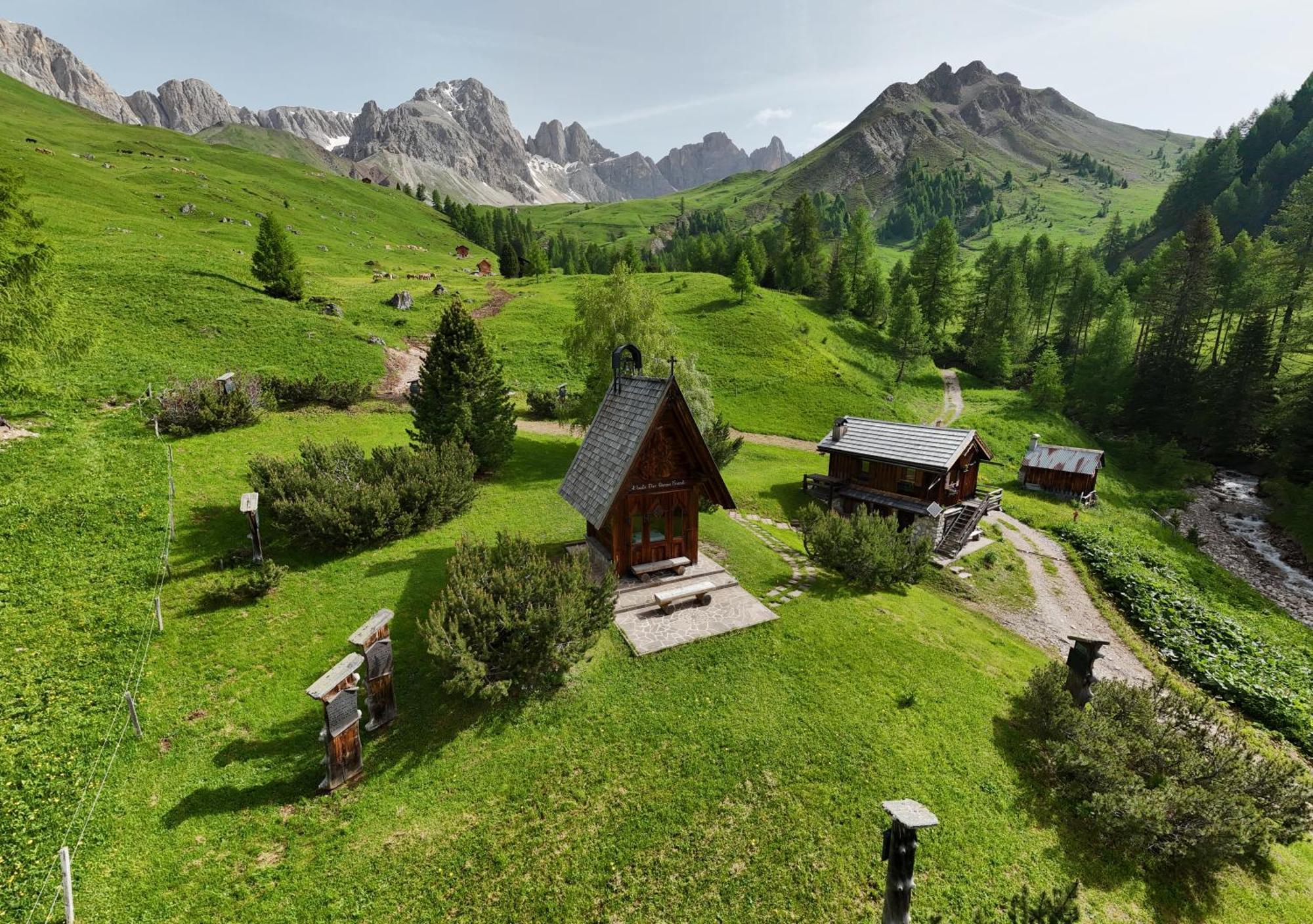 ホテル Rifugio Flora Alpina パッソ・サン・ペッレグリーノ エクステリア 写真